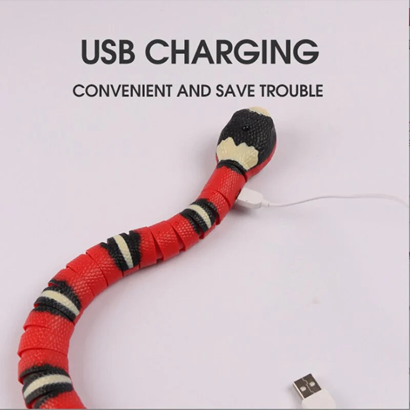 š„Last Day 50% Offš„SLITHER SPRINT⢠INTERACTIVE CAT TOY