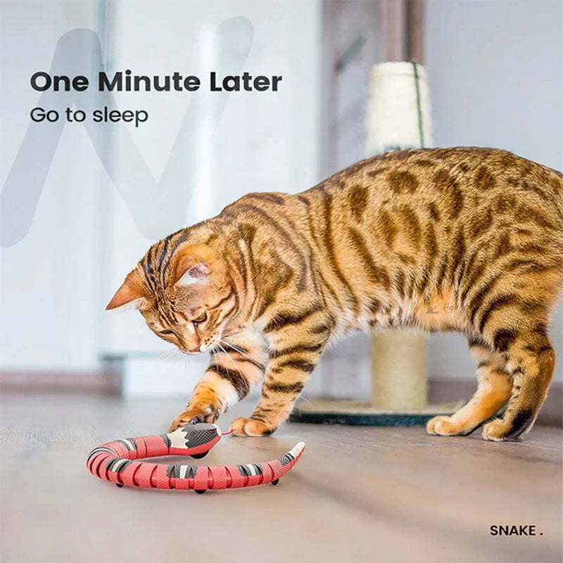 🔥Last Day 50% Off🔥SLITHER SPRINT™ INTERACTIVE CAT TOY